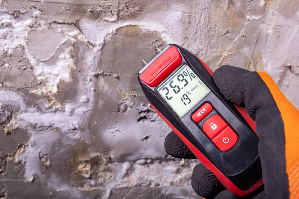 Best Post-Flood Mold Remediation in Northwoods, MO