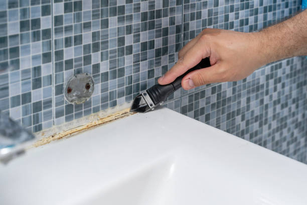 Best Industrial Mold Remediation in Northwoods, MO